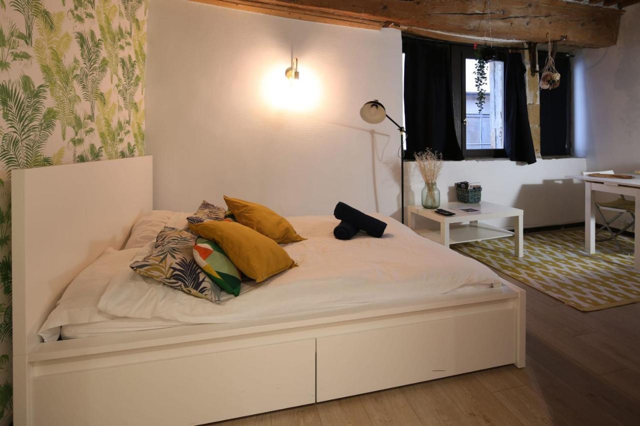 Charming Studio Centre Ville De ลียง ภายนอก รูปภาพ