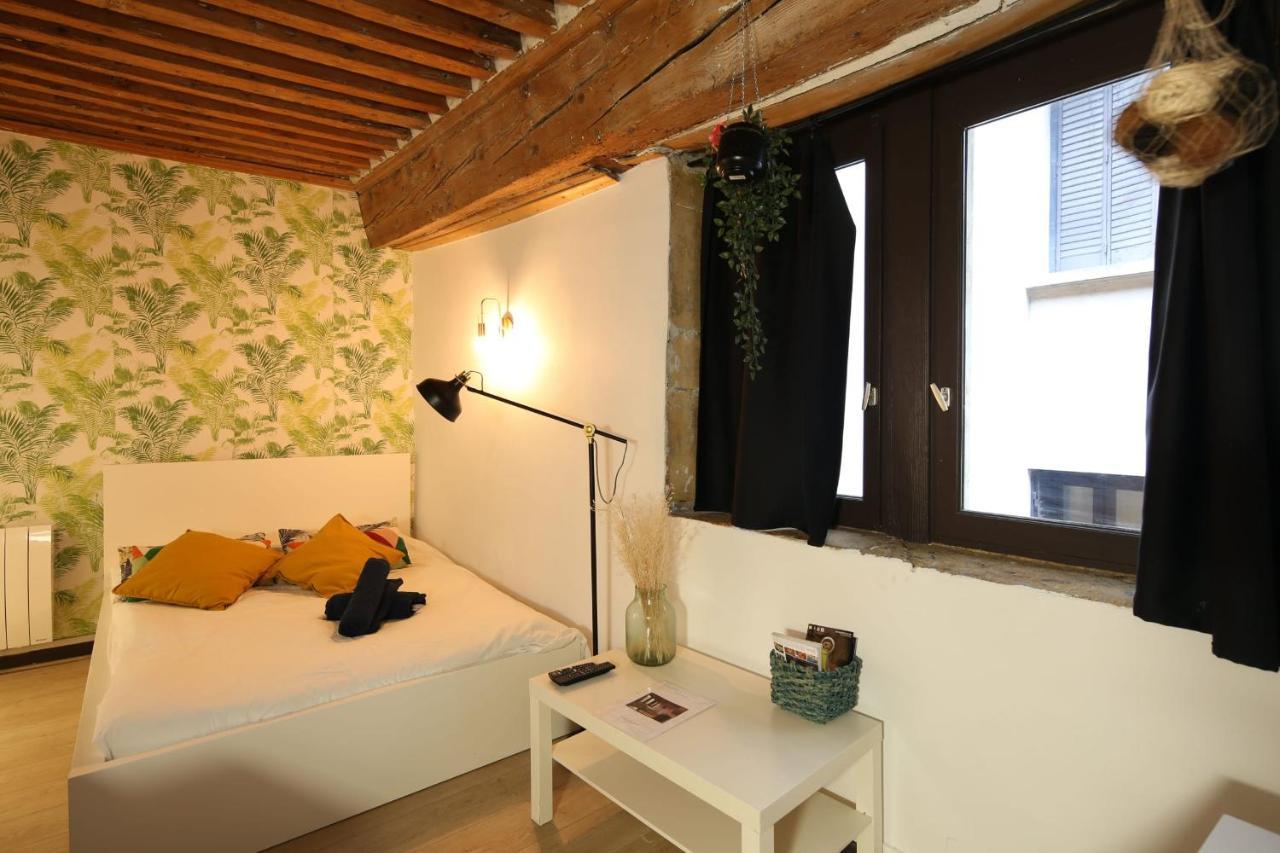Charming Studio Centre Ville De ลียง ภายนอก รูปภาพ